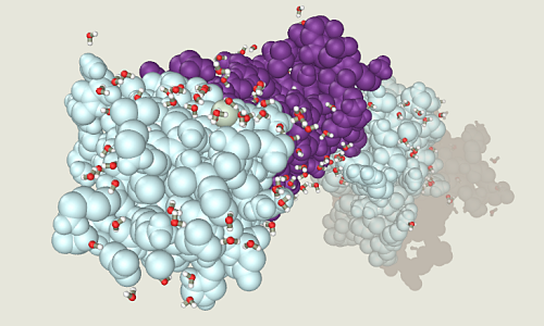 Bio-molecular modeling software