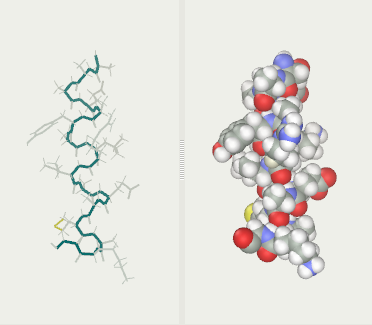 2I9M protein folding after 300 ps