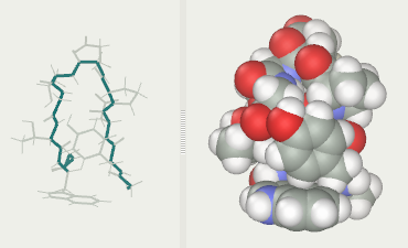 Chignolin experimental (NMA)