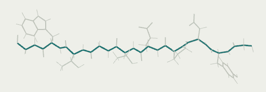 Protein folding Chignolin line