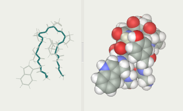Chignolin protein folding after 3.5 ns