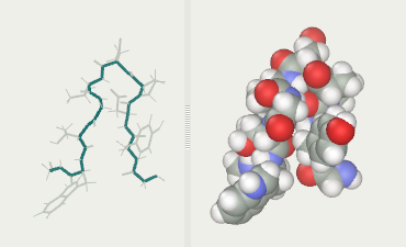 Chignolin protein folding after 4 ns