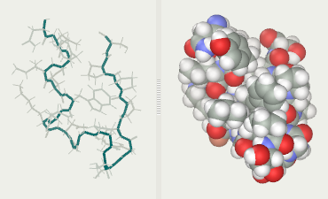 Trp-Cage protein folding after 10 ns