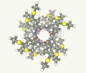 Protein helix