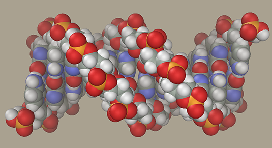 xn--gedchtnispille-7hb.de