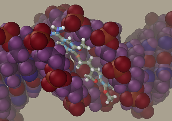 DNA-Ligand complex