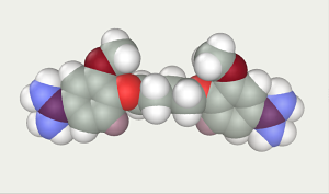 Pentamidine conformation