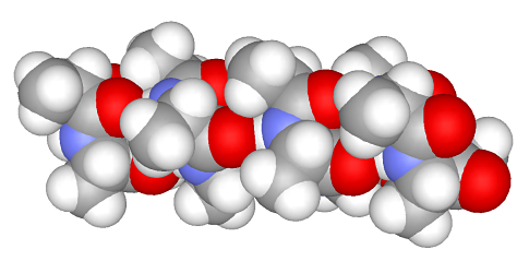 Protein Alpha helix